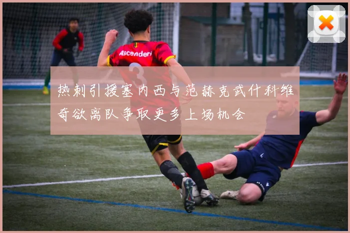 热刺引援塞内西与范赫克武什科维奇欲离队争取更多上场机会