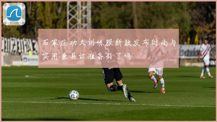 石家庄功夫训练服新款发布时尚与实用兼具你准备好了吗
